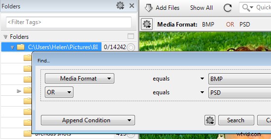 Master Large Photo Libraries: Advanced Lightroom Integration with Daminion