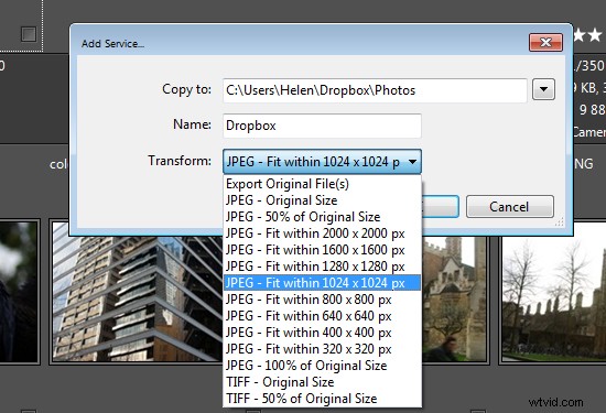 Master Large Photo Libraries: Advanced Lightroom Integration with Daminion