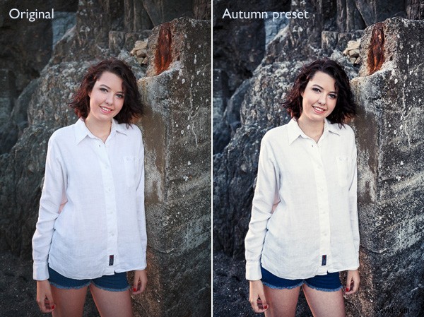 Lightroom Develop Presets: Are They Worth the Investment? Honest Review