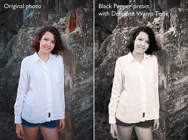 Lightroom Develop Presets: Are They Worth the Investment? Honest Review