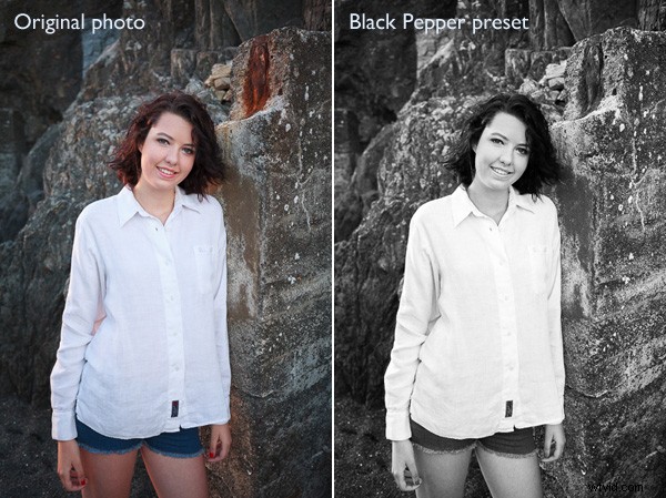 Lightroom Develop Presets: Are They Worth the Investment? Honest Review