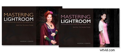 Lightroom Develop Presets: Are They Worth the Investment? Honest Review