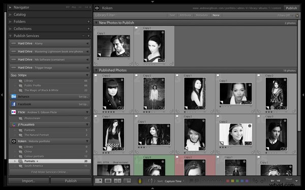 Build a Professional Photo Website: Upload Directly from Lightroom with Koken