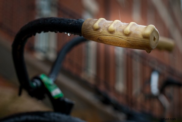 Mastering Lightroom s Radial Filter: Pro Tips for Stunning Photo Edits