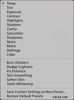 Mastering Lightroom s Radial Filter: Pro Tips for Stunning Photo Edits