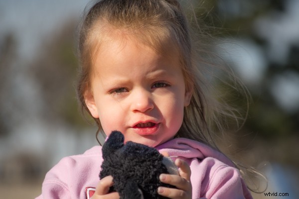 Mastering Lightroom s Radial Filter: Pro Tips for Stunning Photo Edits