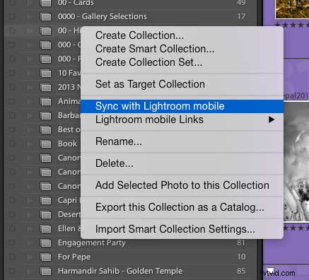 Lightroom Mobile Setup: Essential Beginner s Guide