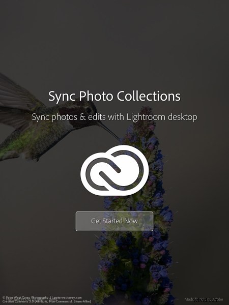 Lightroom Mobile Setup: Essential Beginner s Guide
