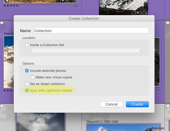 Lightroom Mobile Setup: Essential Beginner s Guide