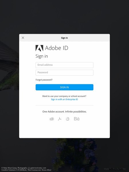Lightroom Mobile Setup: Essential Beginner s Guide
