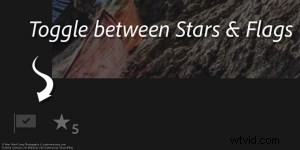 Lightroom Mobile Setup: Essential Beginner s Guide