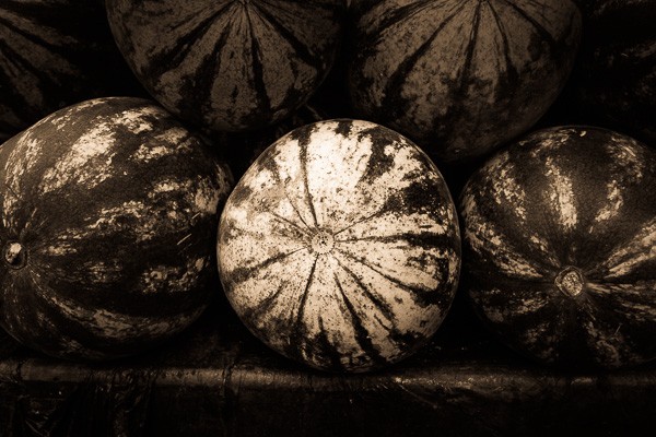 Master Split Toning for Stunning Black & White Photos in Lightroom