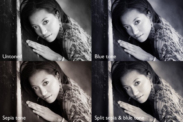 Master Split Toning for Stunning Black & White Photos in Lightroom