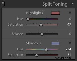 Master Split Toning for Stunning Black & White Photos in Lightroom