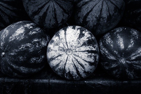 Master Split Toning for Stunning Black & White Photos in Lightroom