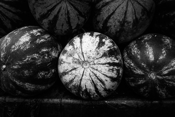 Master Split Toning for Stunning Black & White Photos in Lightroom