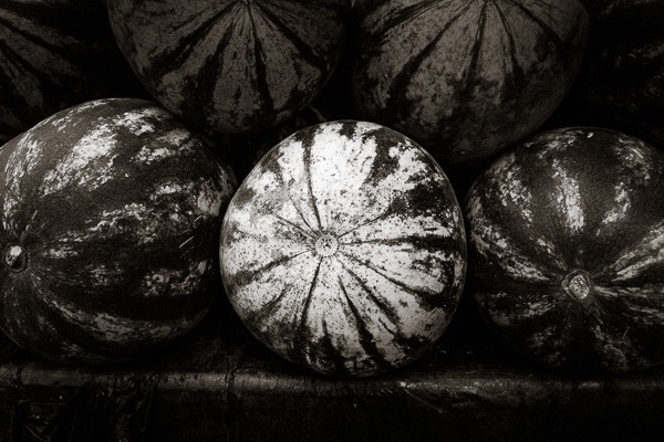 Master Split Toning for Stunning Black & White Photos in Lightroom