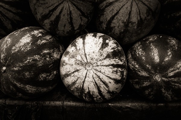 Master Split Toning for Stunning Black & White Photos in Lightroom