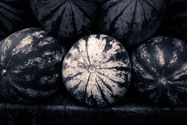 Master Split Toning for Stunning Black & White Photos in Lightroom