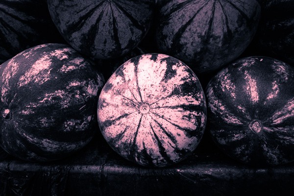 Master Split Toning for Stunning Black & White Photos in Lightroom