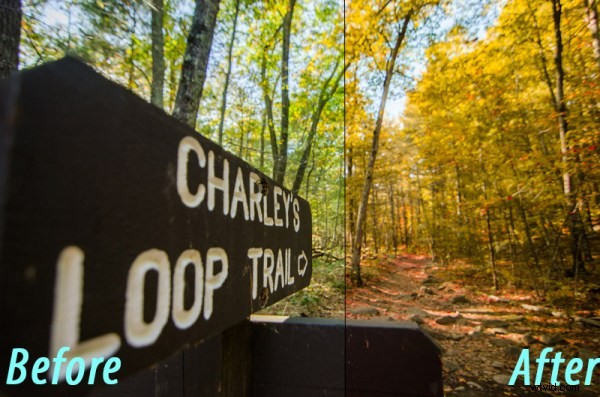 Enhance Early Fall Shots: Create Peak Foliage Colors with Lightroom s HSL Panel