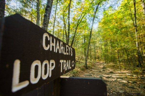 Enhance Early Fall Shots: Create Peak Foliage Colors with Lightroom s HSL Panel