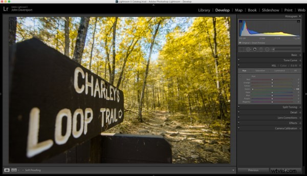 Enhance Early Fall Shots: Create Peak Foliage Colors with Lightroom s HSL Panel
