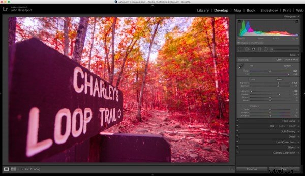 Enhance Early Fall Shots: Create Peak Foliage Colors with Lightroom s HSL Panel