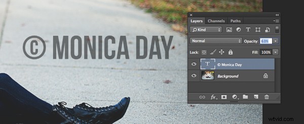 How to Create Professional Watermarks for Images in Photoshop and Lightroom