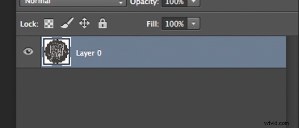 How to Create Professional Watermarks for Images in Photoshop and Lightroom