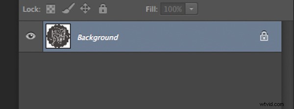 How to Create Professional Watermarks for Images in Photoshop and Lightroom
