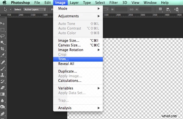 How to Create Professional Watermarks for Images in Photoshop and Lightroom