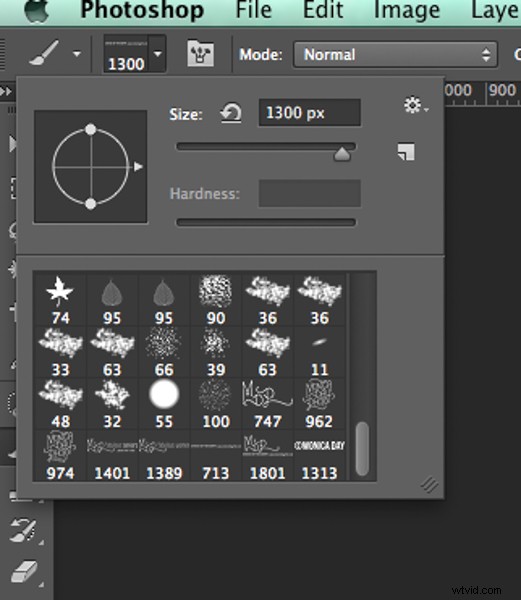 How to Create Professional Watermarks for Images in Photoshop and Lightroom