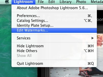 How to Create Professional Watermarks for Images in Photoshop and Lightroom