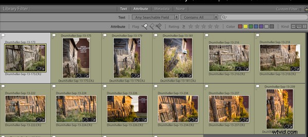 Master Lightroom Library Filters: Search by Text, Attributes & Metadata