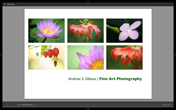 2 Powerful Custom Layouts for Lightroom Print Module: Prints, Postcards & Business Cards