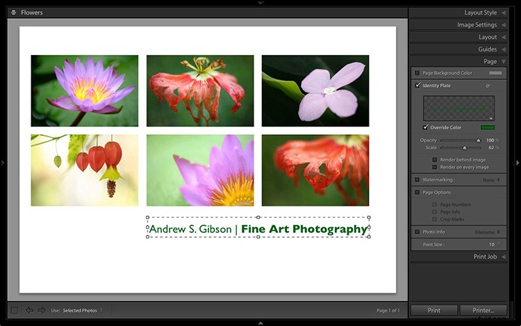 2 Powerful Custom Layouts for Lightroom Print Module: Prints, Postcards & Business Cards
