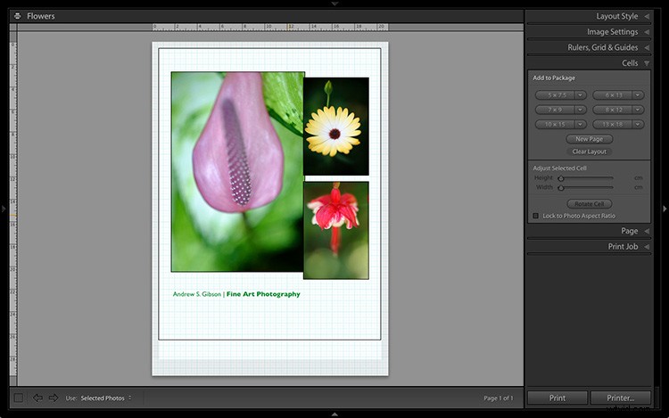 2 Powerful Custom Layouts for Lightroom Print Module: Prints, Postcards & Business Cards