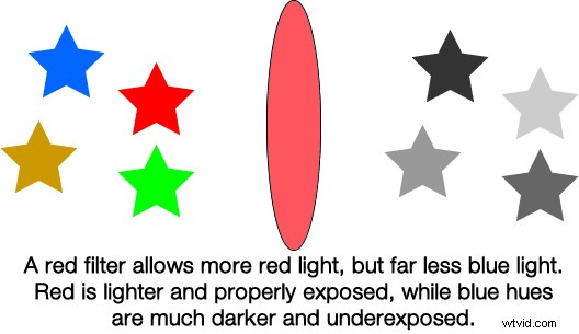 Master Black & White Filters in Lightroom: Pro Techniques Revealed