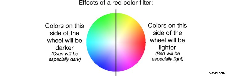 Master Black & White Filters in Lightroom: Pro Techniques Revealed