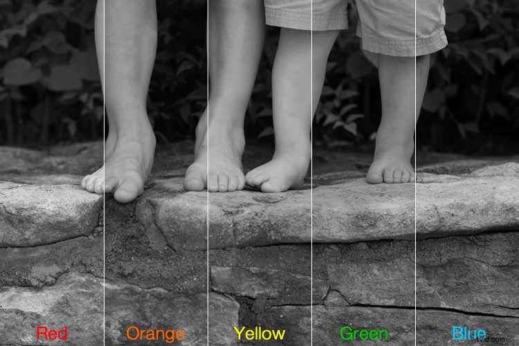 Master Black & White Filters in Lightroom: Pro Techniques Revealed