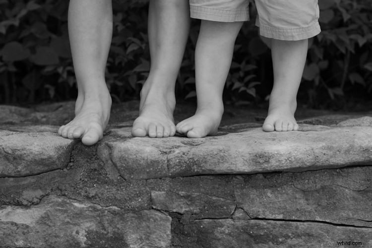 Master Black & White Filters in Lightroom: Pro Techniques Revealed