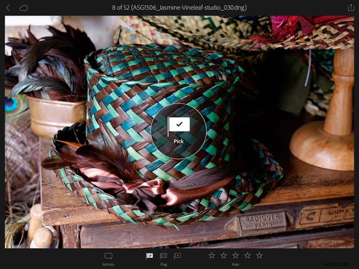 Essential Guide to Lightroom Mobile and Web: Features, Access & Tips