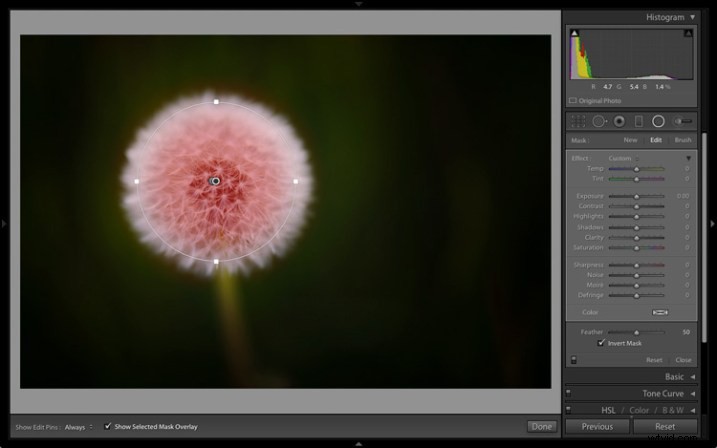 Master the Enhanced Graduated & Radial Filters in Lightroom 6