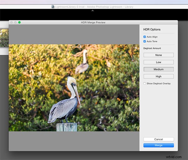 Discover the Powerful New Adobe Lightroom CC: Key Features and Upgrades