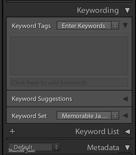 Essential Guide to Keywording in Lightroom: Benefits and Step-by-Step Tutorial