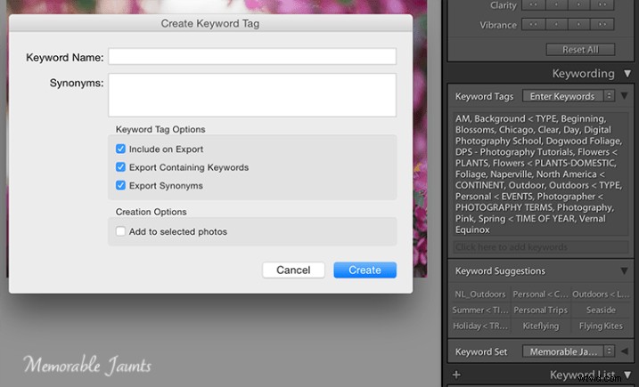 Essential Guide to Keywording in Lightroom: Benefits and Step-by-Step Tutorial