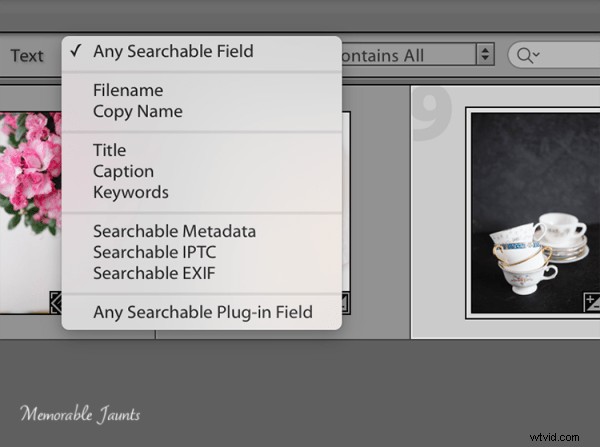 Essential Guide to Keywording in Lightroom: Benefits and Step-by-Step Tutorial