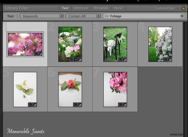 Essential Guide to Keywording in Lightroom: Benefits and Step-by-Step Tutorial