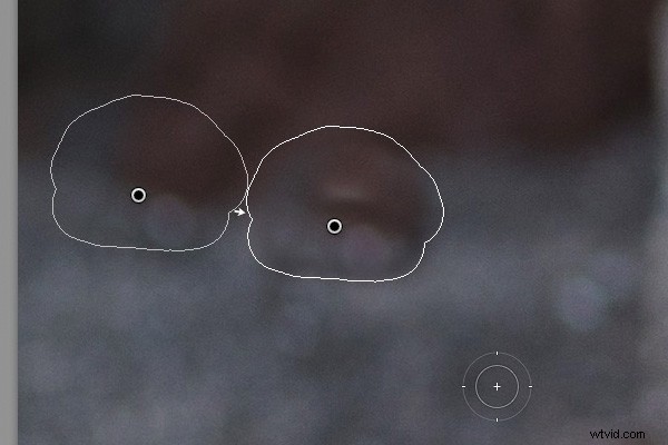 5 Essential Lightroom Keyboard Shortcuts to Supercharge Your Workflow